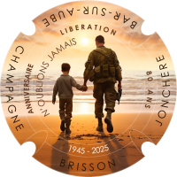 LIBERATION_45-25 (2)